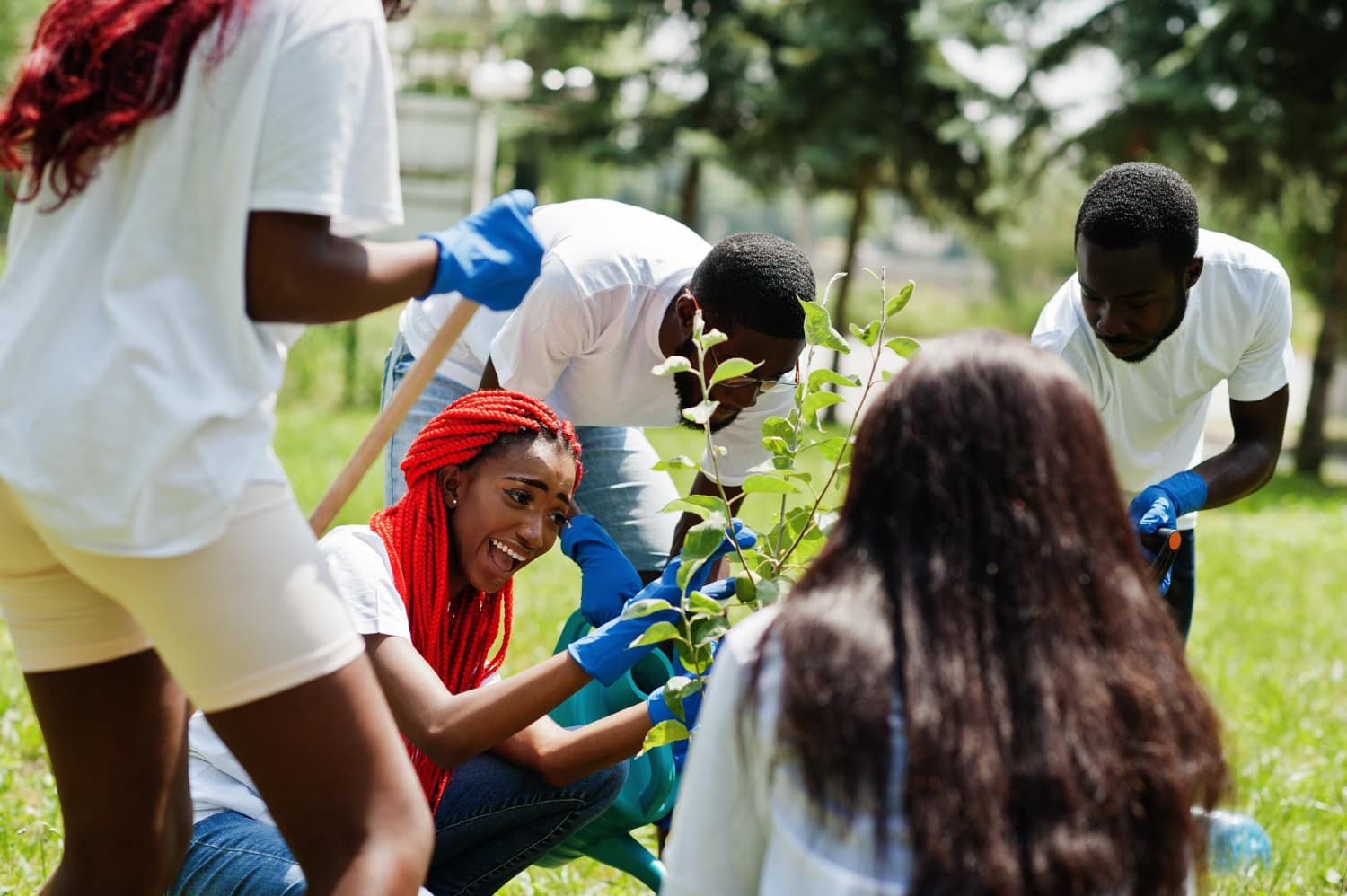 Environmental conservation in Nigeria