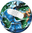 Heal The World Foundation Logo