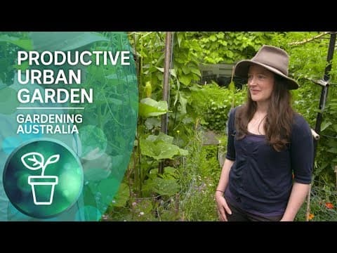 Learn Urban Gardening in Cities