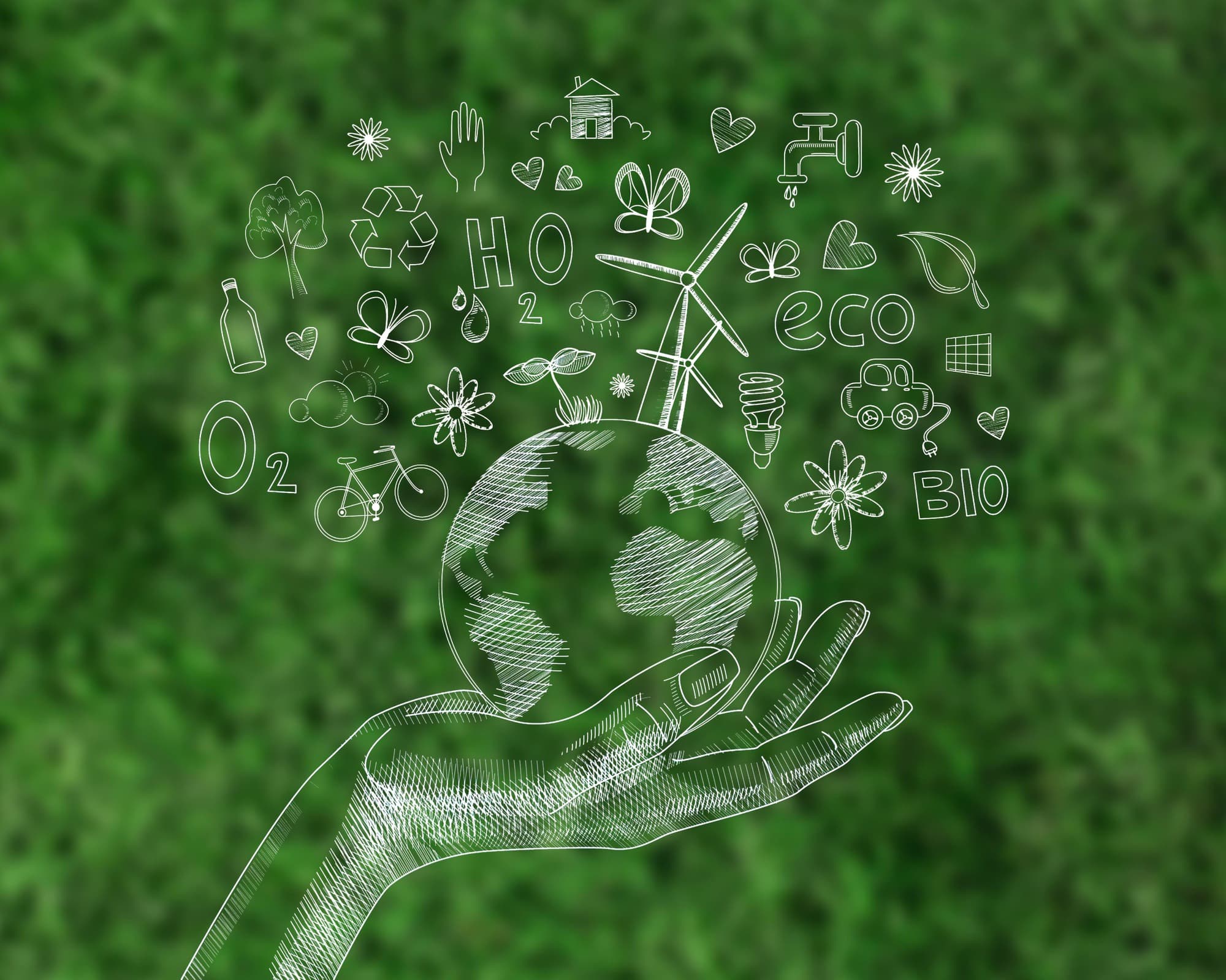 Environmental Conservation Image